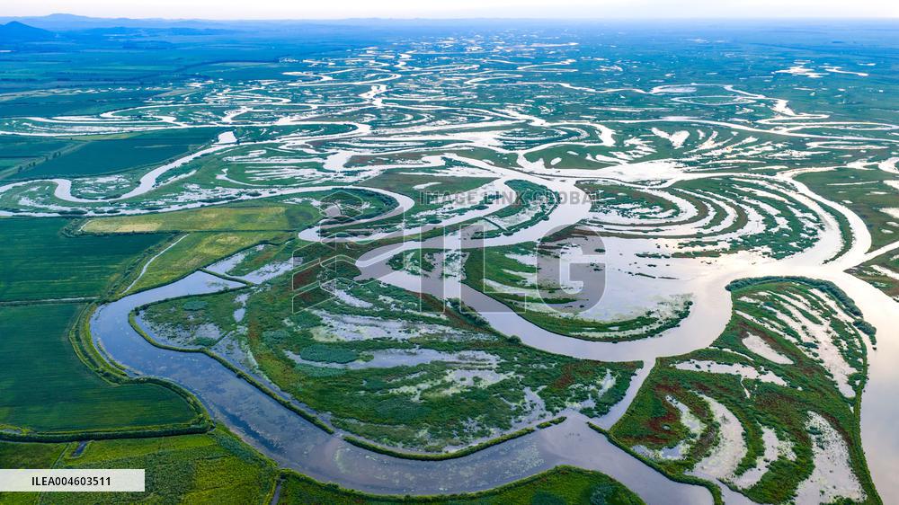 Naolihe River Wetland in Shuangyashan