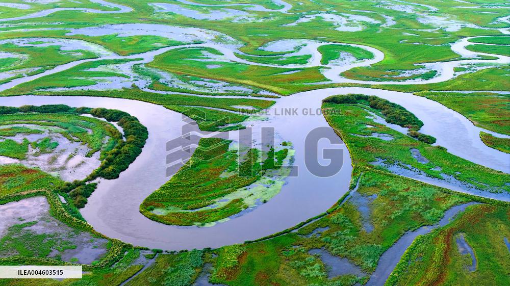 Naolihe River Wetland in Shuangyashan