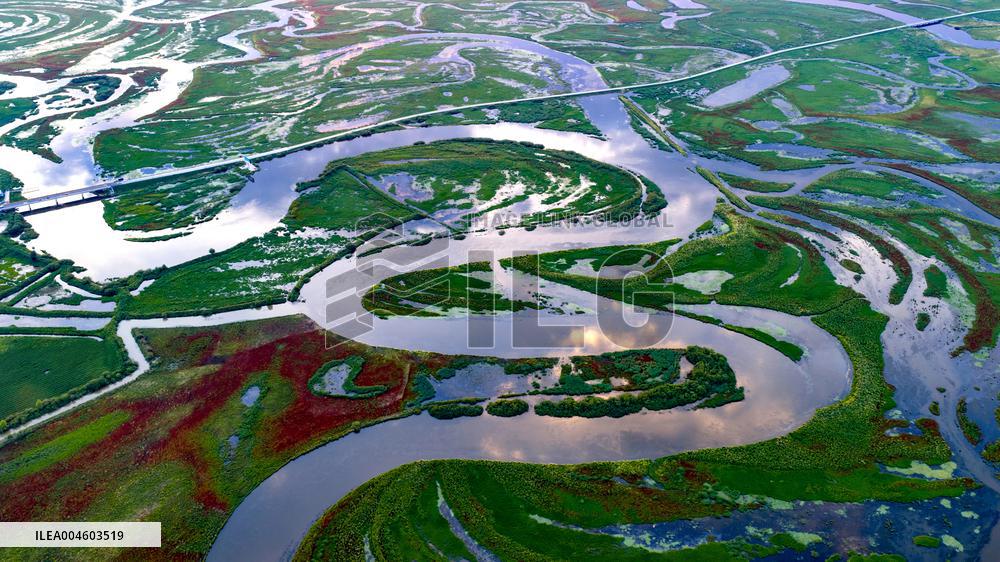 Naolihe River Wetland in Shuangyashan