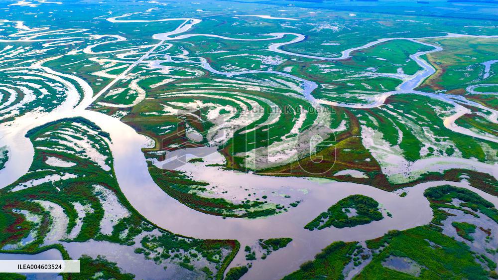 Naolihe River Wetland in Shuangyashan