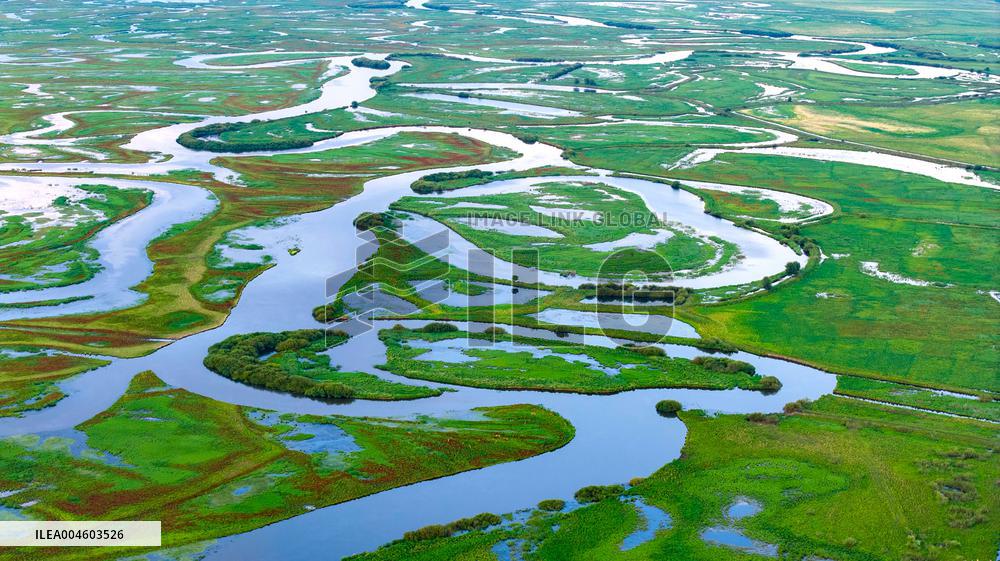 Naolihe River Wetland in Shuangyashan
