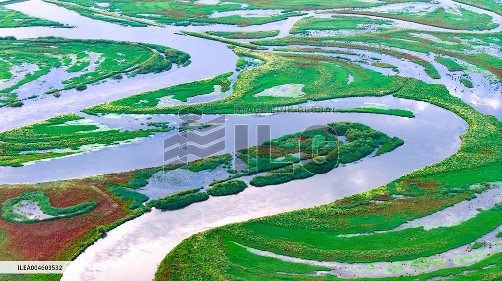 Naolihe River Wetland in Shuangyashan