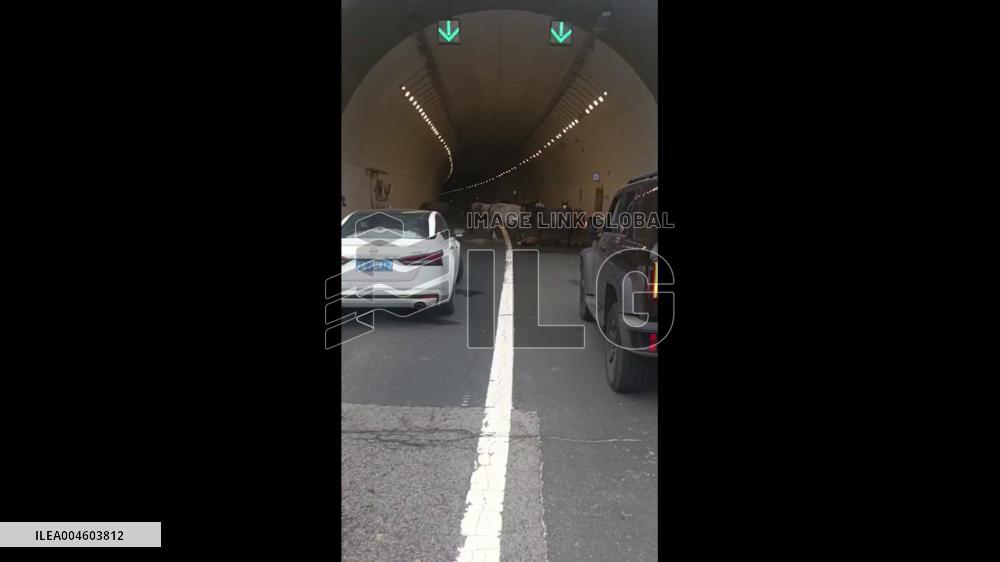 China: Horses Guard Fallen Pony in Hebei Tunnel Until Police Arrive