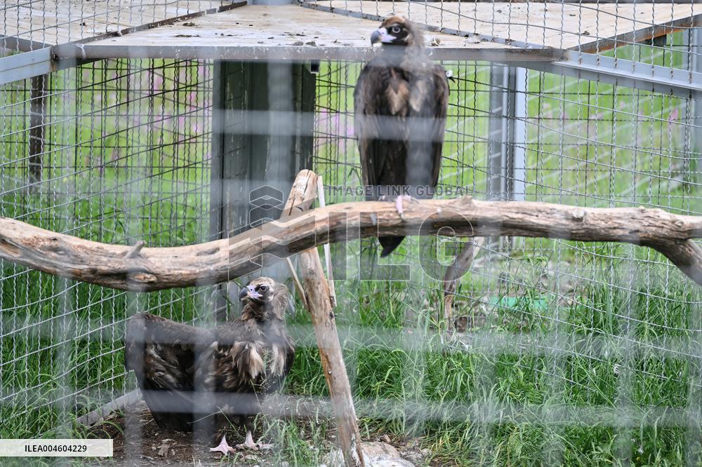Wildlife Rehabilitation Station in Qinghai - China
