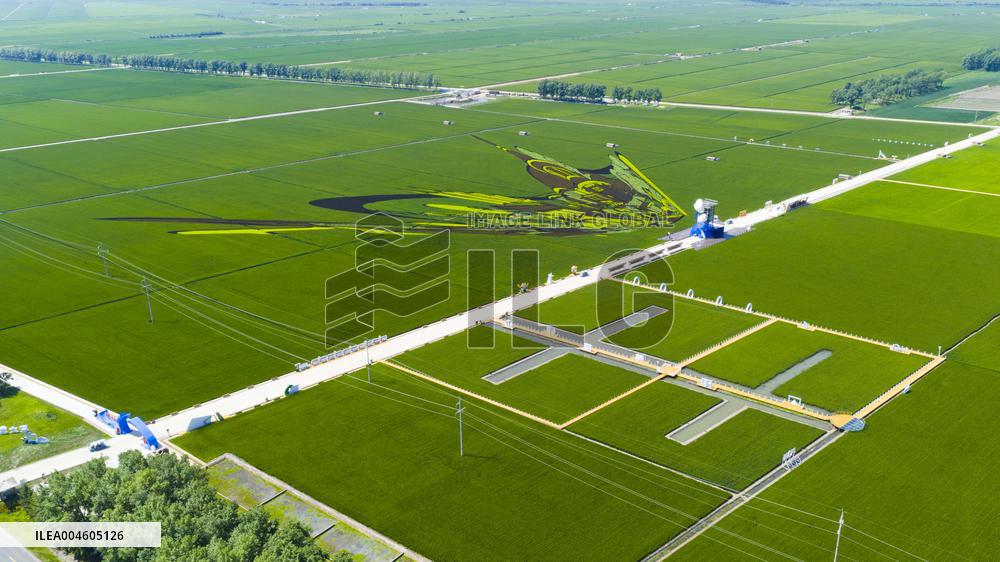 Great Northern Wildernes Group 859 Farm