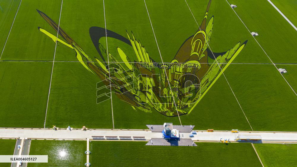 Great Northern Wildernes Group 859 Farm