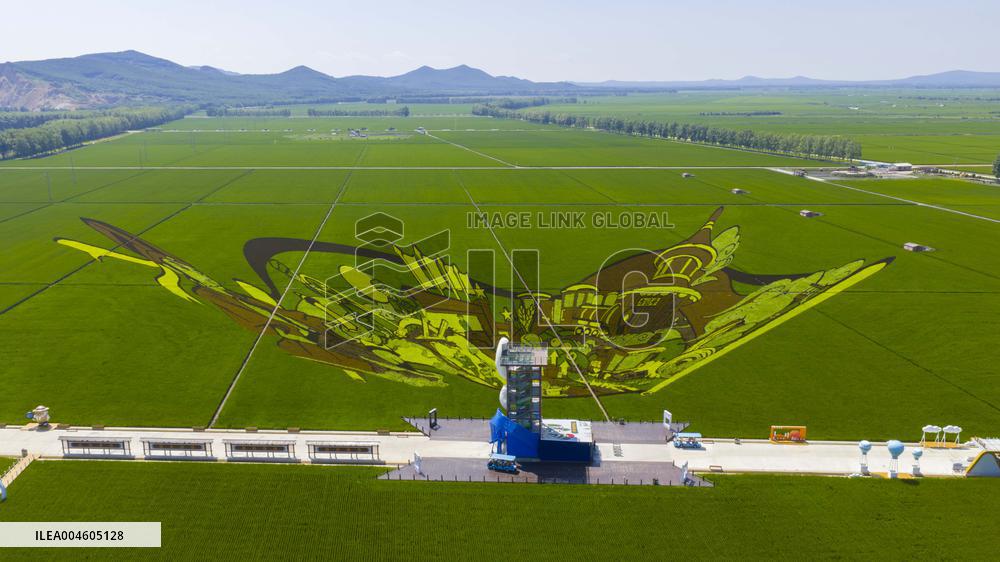 Great Northern Wildernes Group 859 Farm