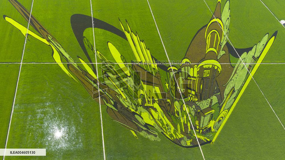 Great Northern Wildernes Group 859 Farm