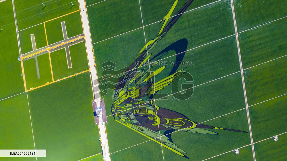 Great Northern Wildernes Group 859 Farm