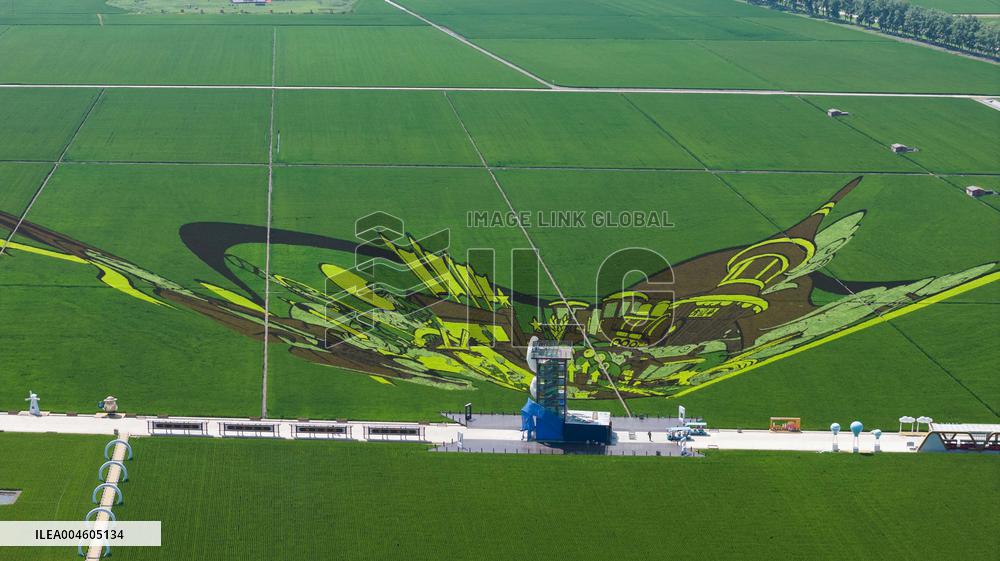 Great Northern Wildernes Group 859 Farm