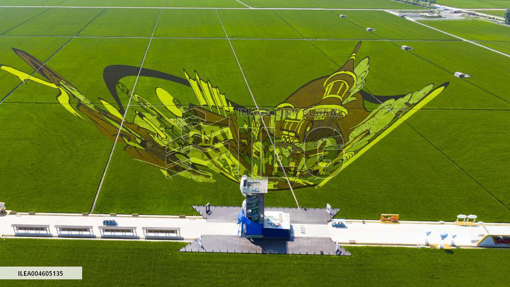 Great Northern Wildernes Group 859 Farm