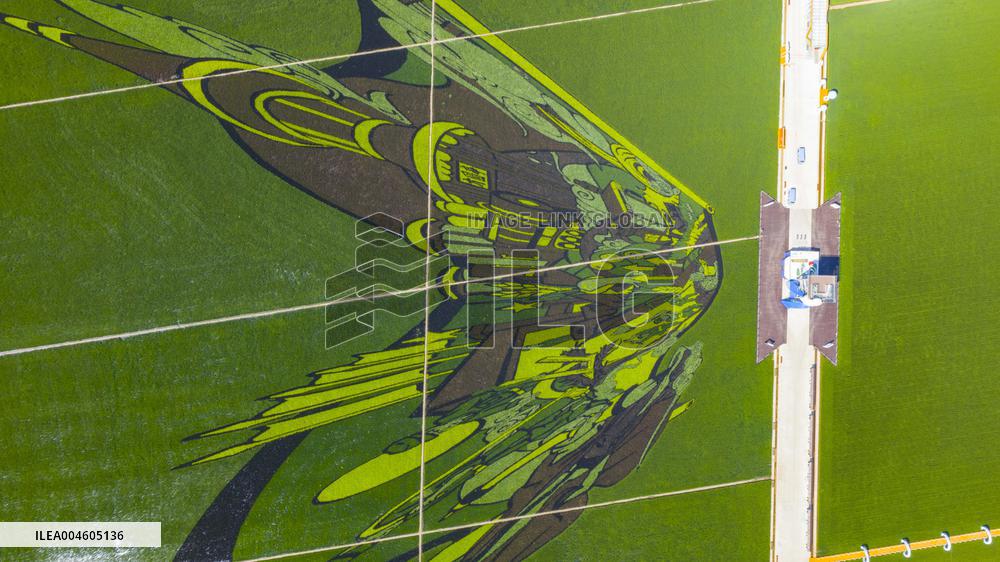 Great Northern Wildernes Group 859 Farm