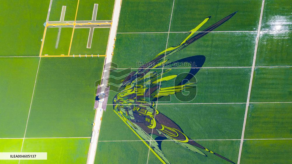 Great Northern Wildernes Group 859 Farm