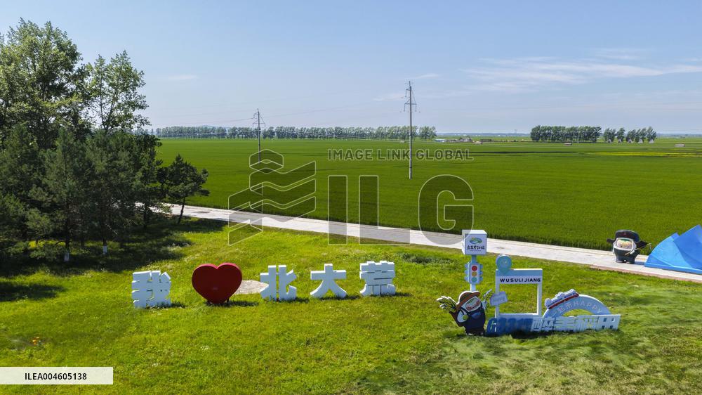 Great Northern Wildernes Group 859 Farm