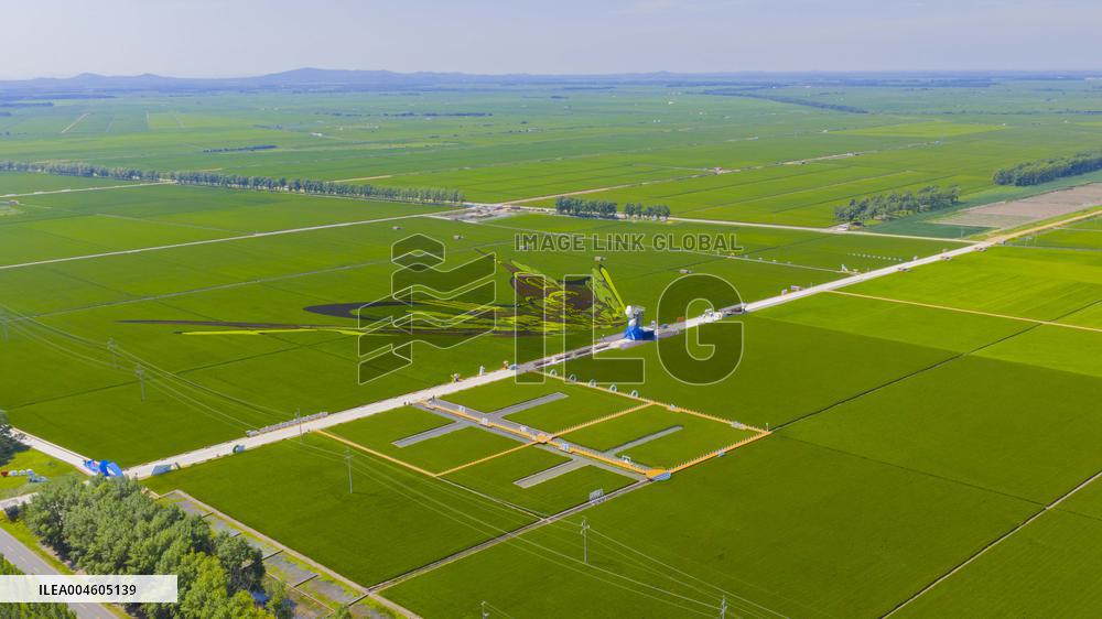 Great Northern Wildernes Group 859 Farm