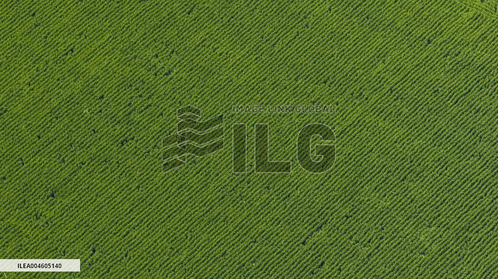 Great Northern Wildernes Group 859 Farm