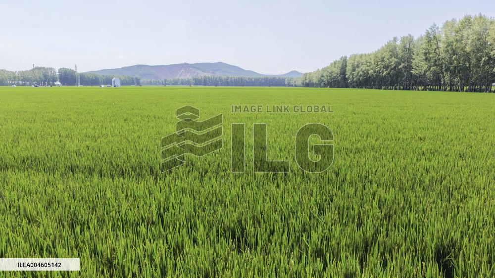 Great Northern Wildernes Group 859 Farm