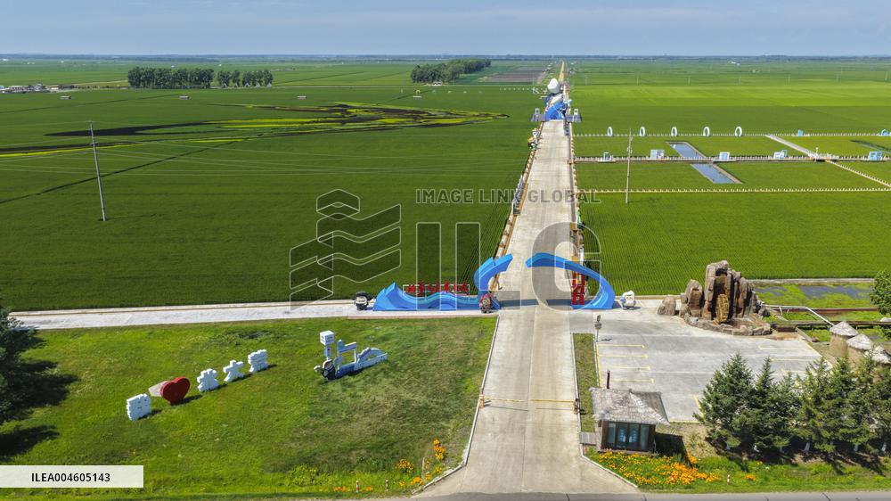 Great Northern Wildernes Group 859 Farm