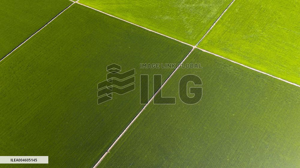 Great Northern Wildernes Group 859 Farm