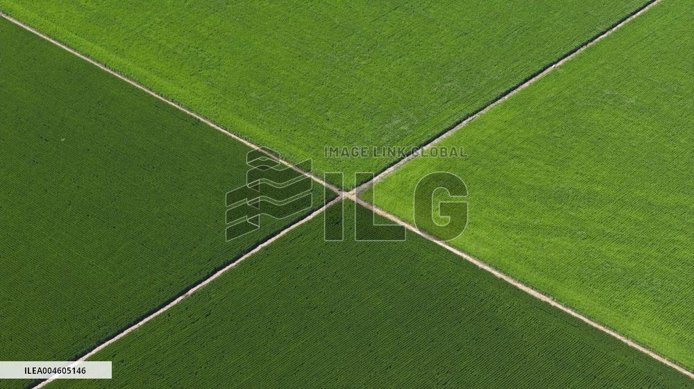 Great Northern Wildernes Group 859 Farm