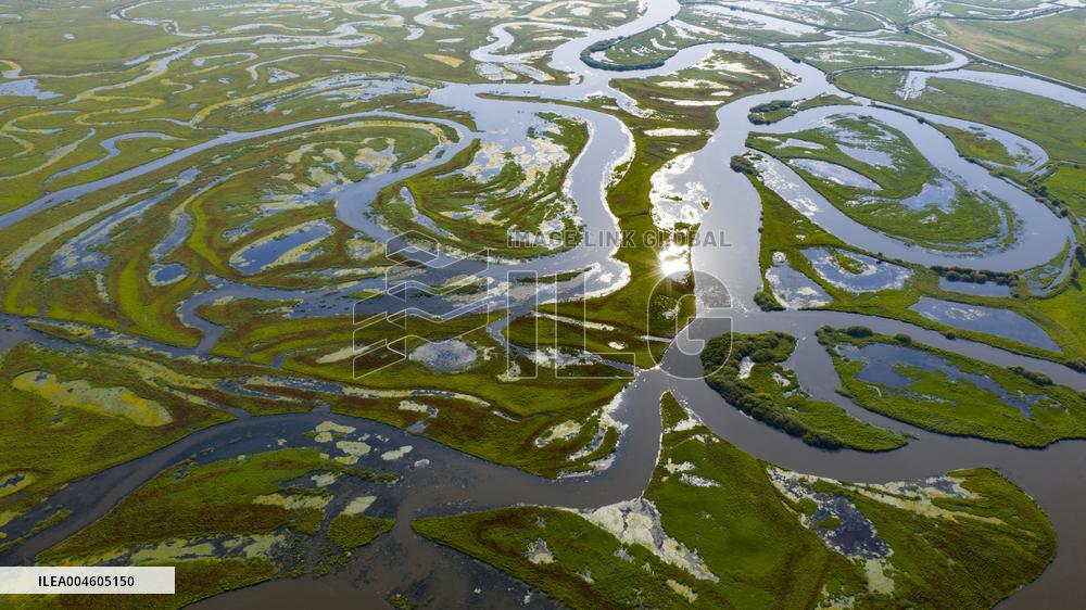 Naolihe River Wetland in Shuangyashan
