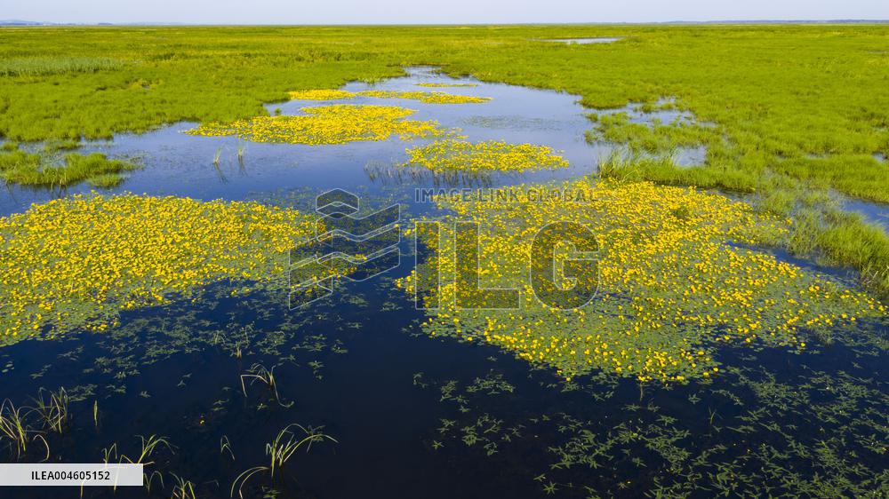 Naolihe River Wetland in Shuangyashan