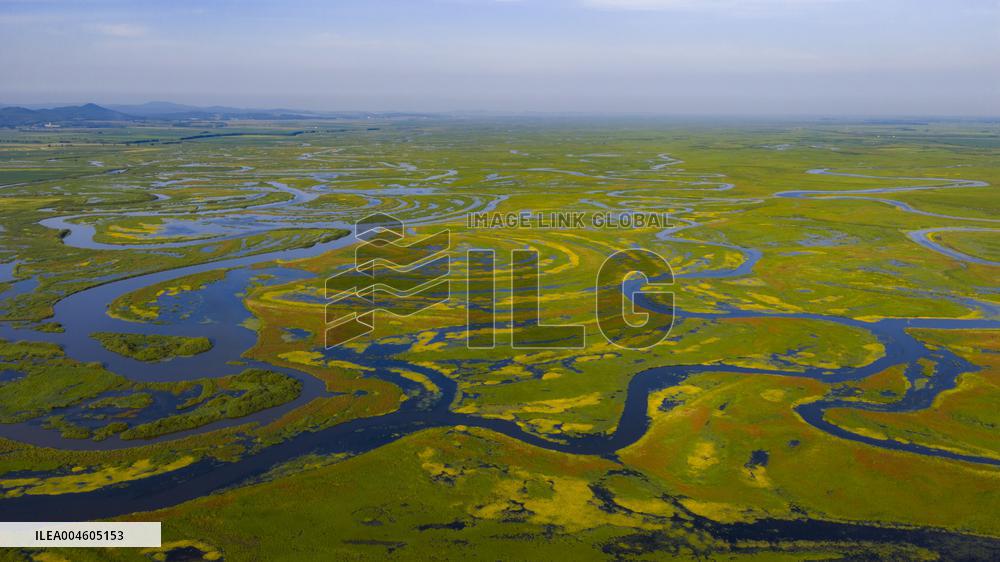 Naolihe River Wetland in Shuangyashan