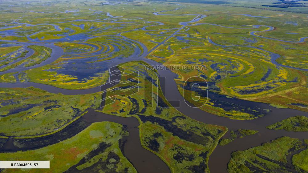 Naolihe River Wetland in Shuangyashan
