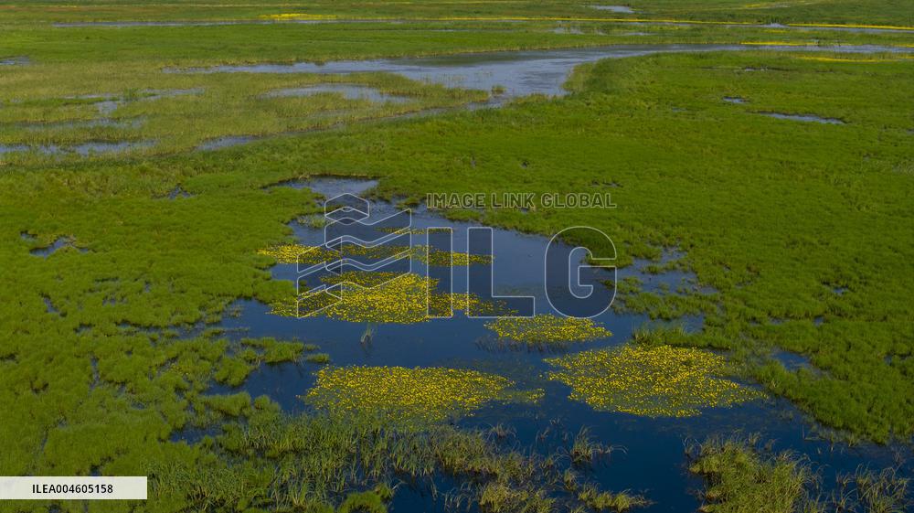 Naolihe River Wetland in Shuangyashan