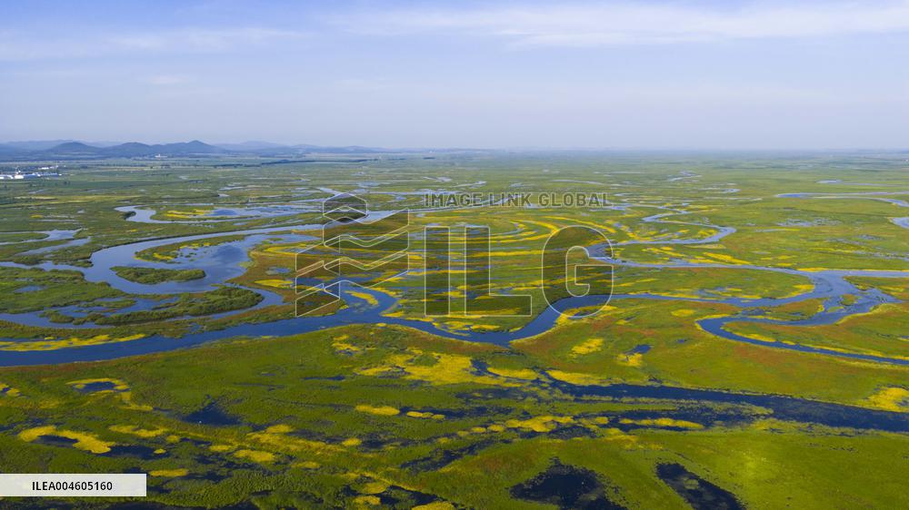 Naolihe River Wetland in Shuangyashan