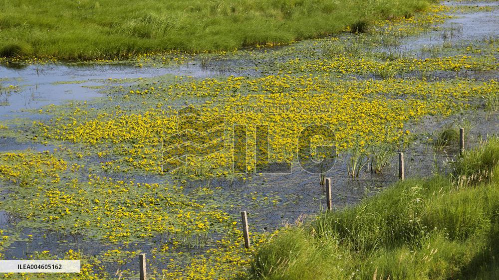 Naolihe River Wetland in Shuangyashan