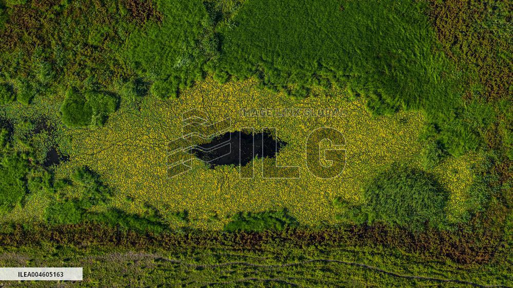 Naolihe River Wetland in Shuangyashan