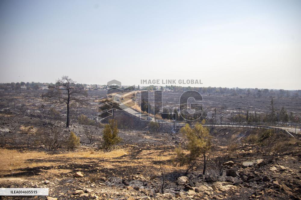 Wildfire Breaks Out in Limassol - Cyprus