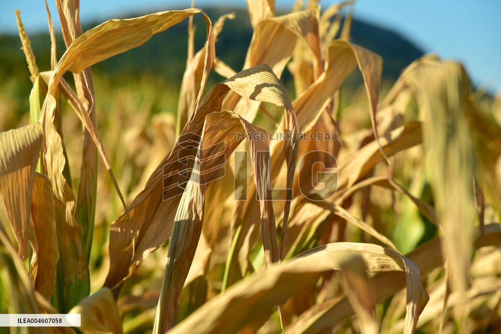 Agricultural Drought