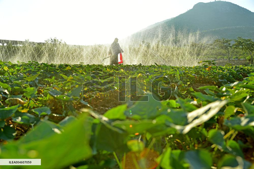 Agricultural Drought
