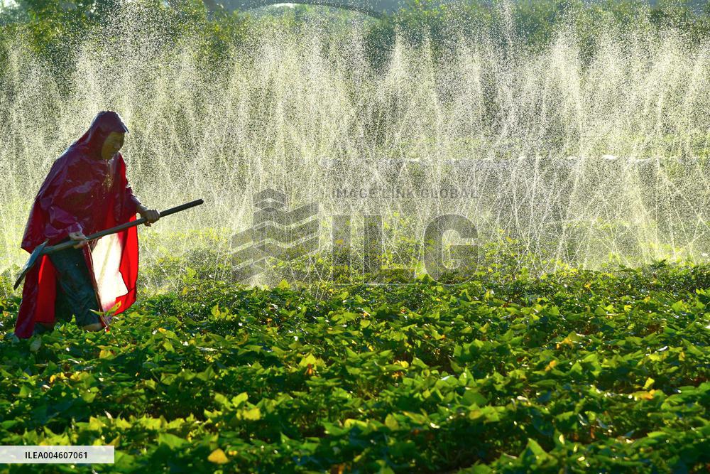 Agricultural Drought