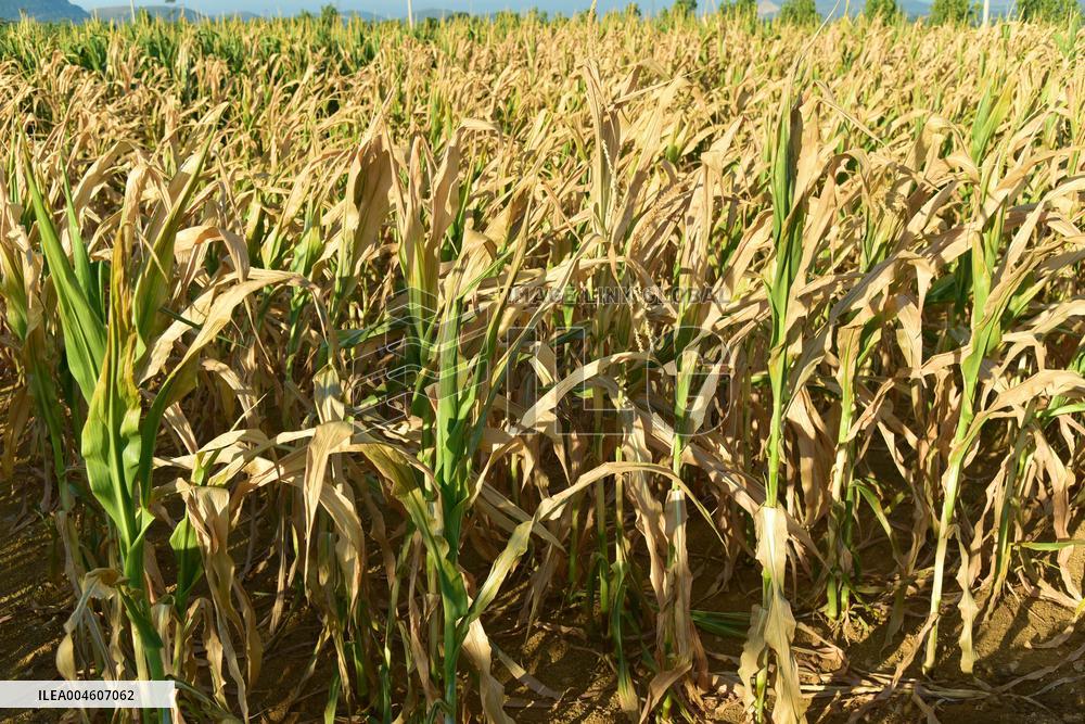 Agricultural Drought