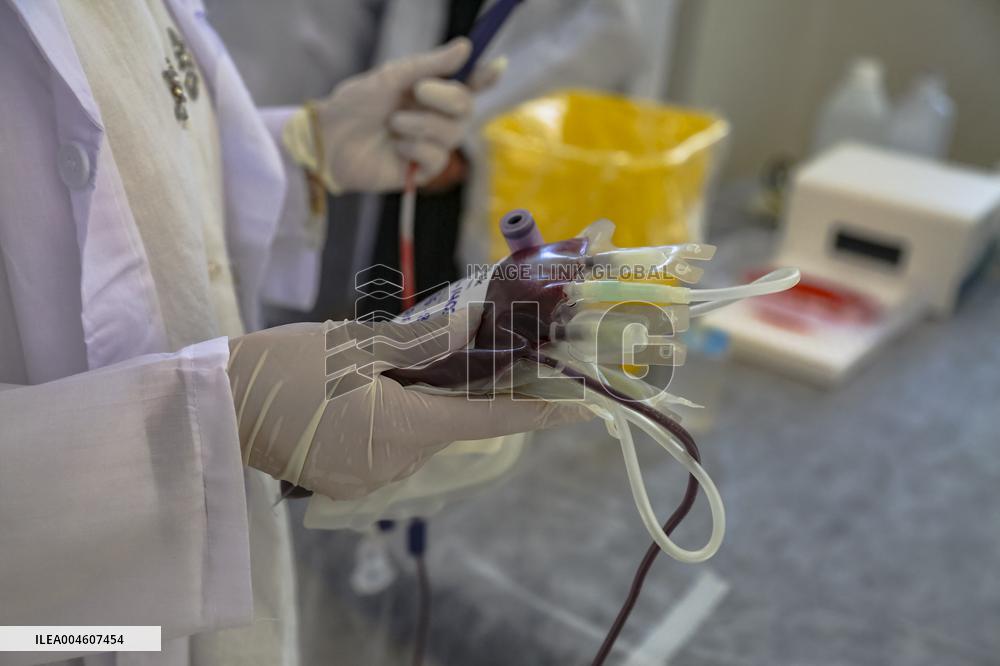 Blood Donation Campaign in Palestine