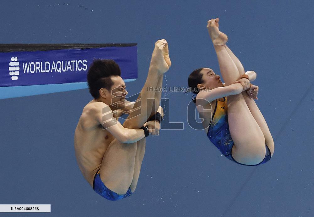 World aquatics championships