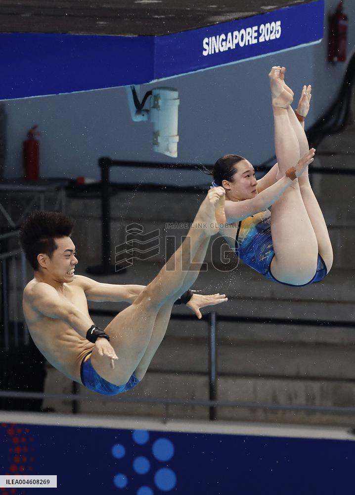 World aquatics championships