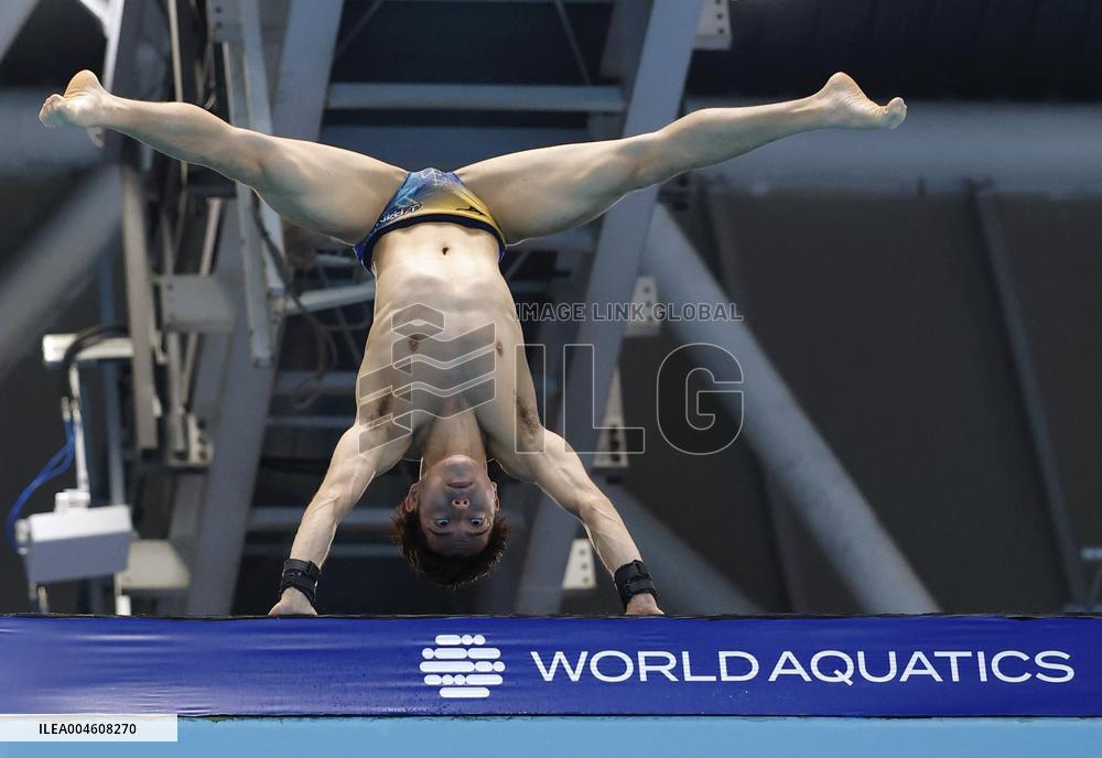 World aquatics championships