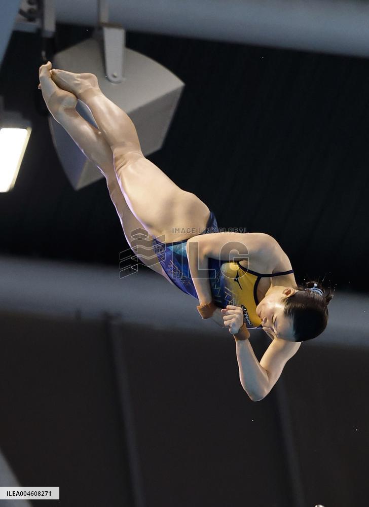 World aquatics championships