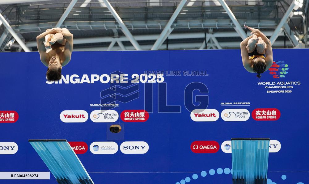 World aquatics championships