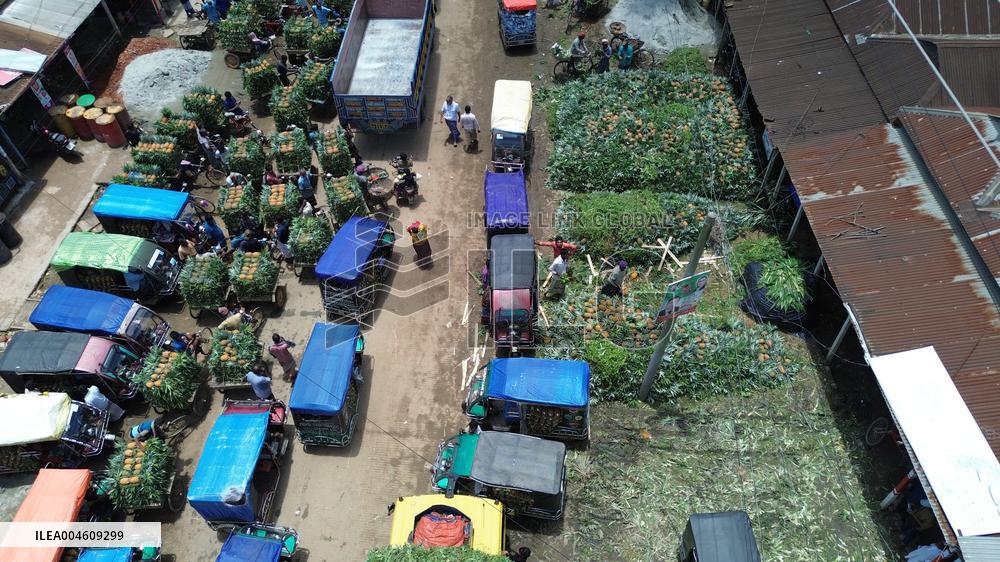 Local pineapple wholesale market in Tangail