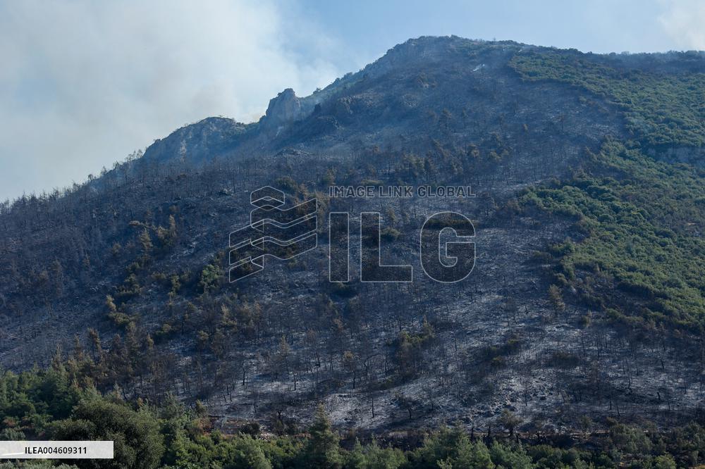 Apocalyptic Turkey Wildfires Spread By Record 50C Heatwave - Bursa