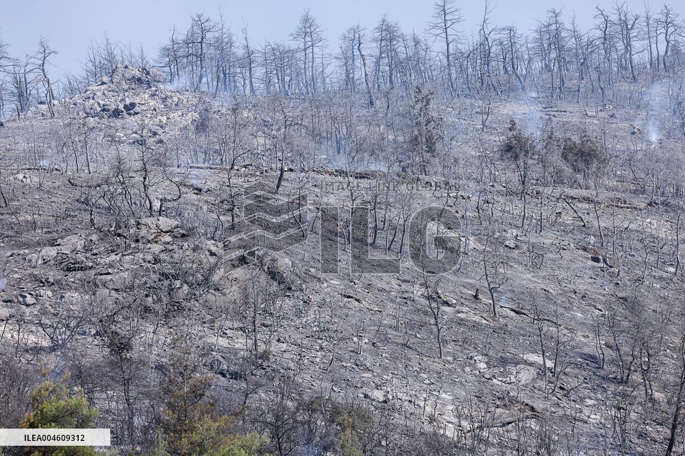 Apocalyptic Turkey Wildfires Spread By Record 50C Heatwave - Bursa