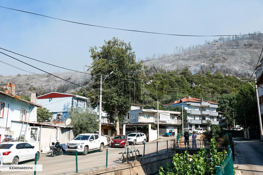 Apocalyptic Turkey Wildfires Spread By Record 50C Heatwave - Bursa