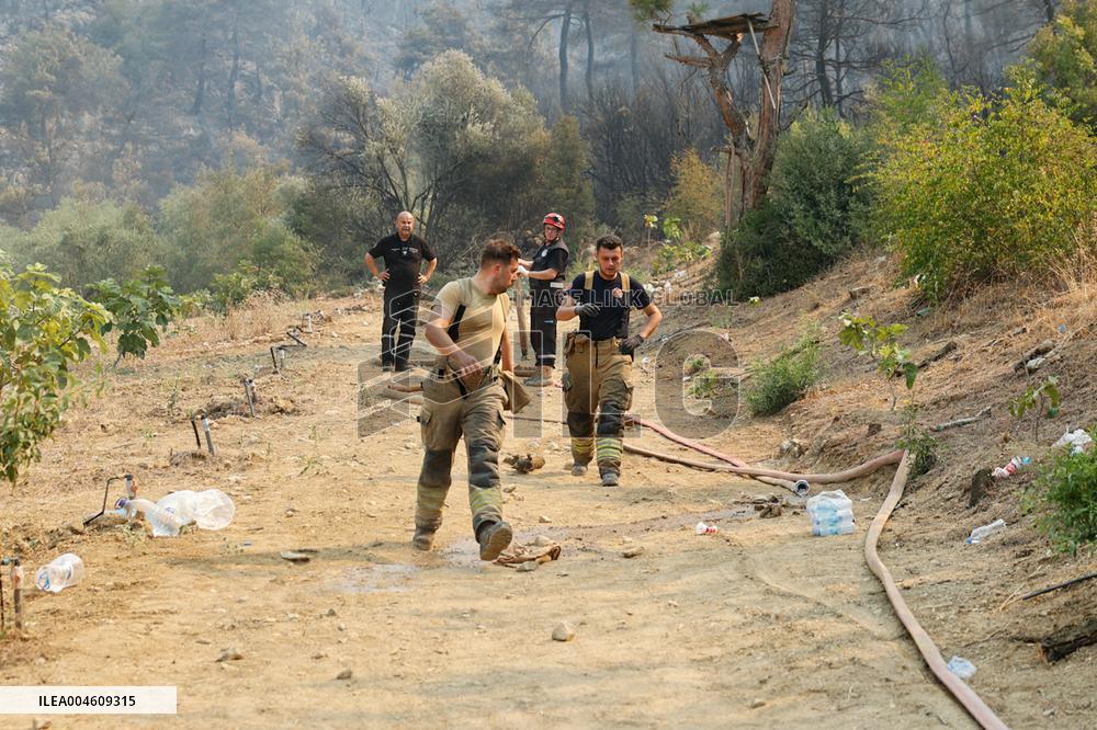 Apocalyptic Turkey Wildfires Spread By Record 50C Heatwave - Bursa