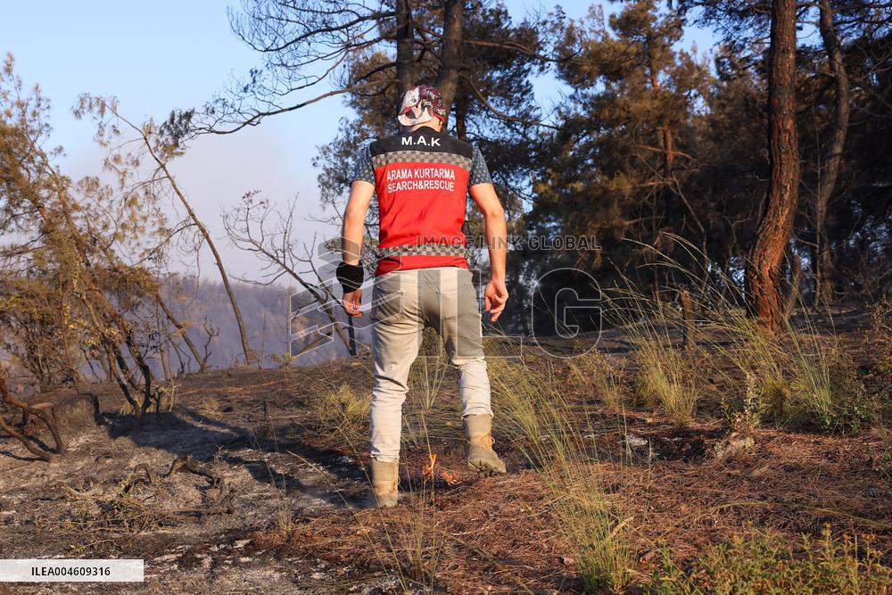 Apocalyptic Turkey Wildfires Spread By Record 50C Heatwave - Bursa