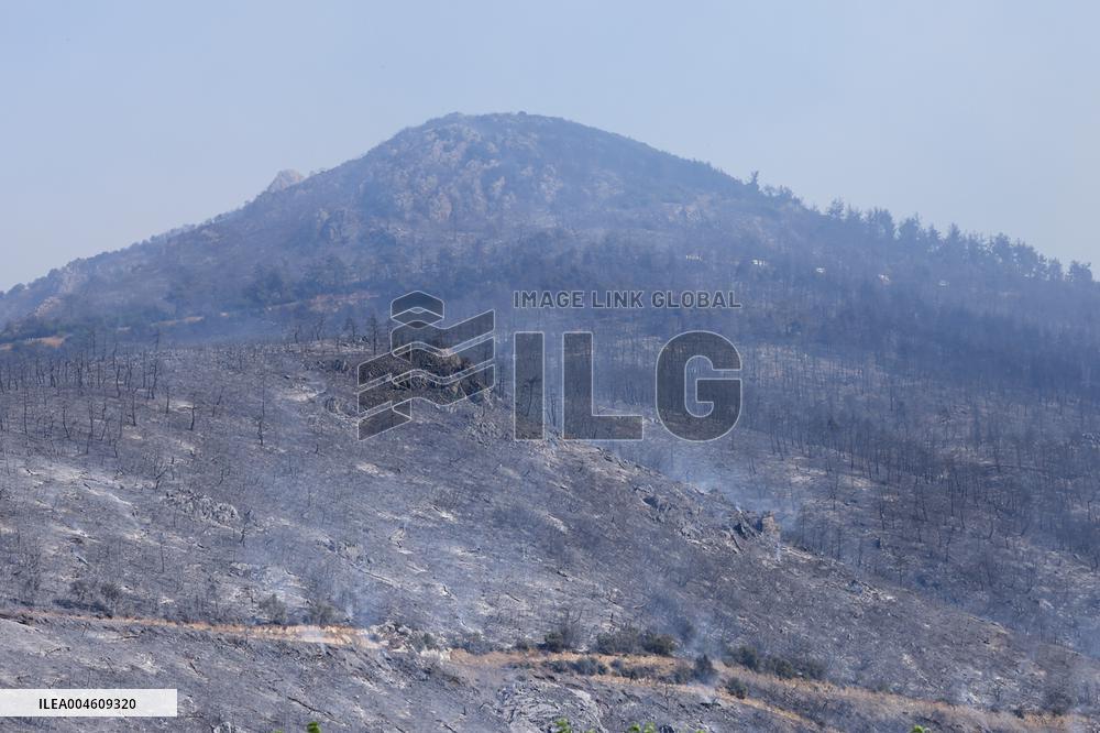 Apocalyptic Turkey Wildfires Spread By Record 50C Heatwave - Bursa